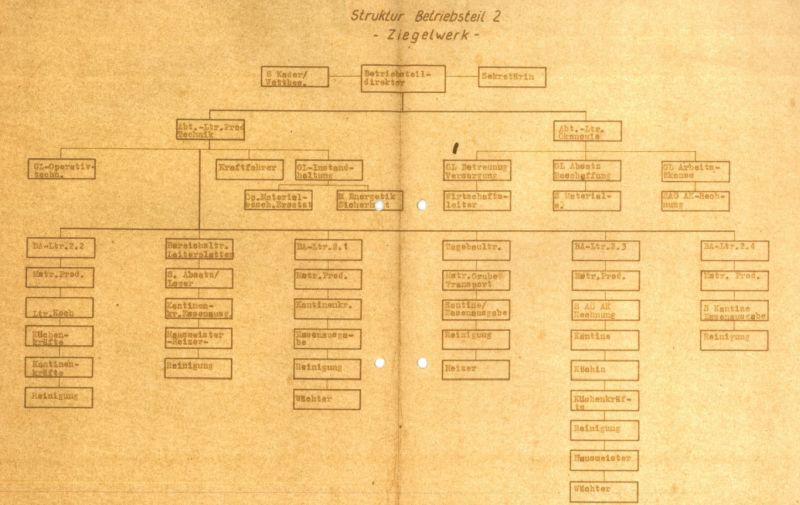 Organigramm von Betriebsteil 2 und Gasbetonwerk (1989) (ZP2/2243)