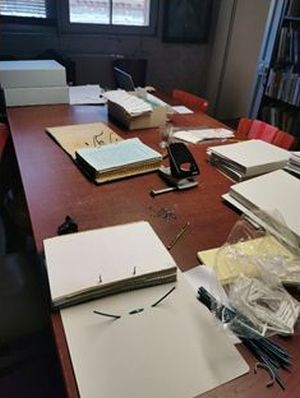 Mein Arbeitsplatz für das Umbetten